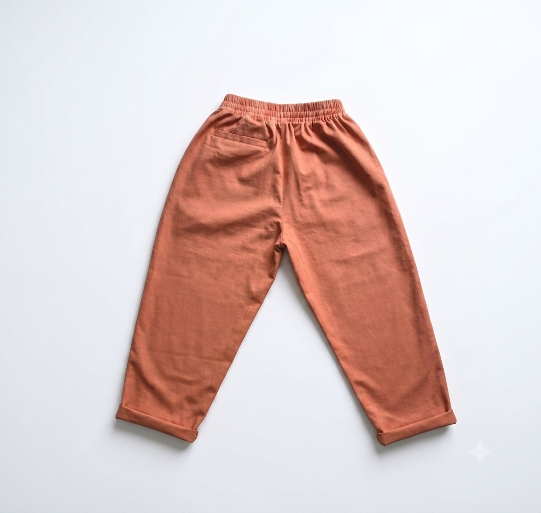 MN-H01 Hajime - Salmon